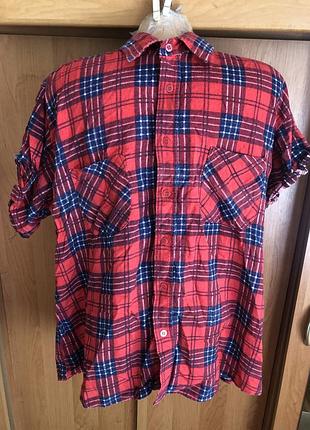 Рубашка, сорочка, 100% коттон размер l, coleman