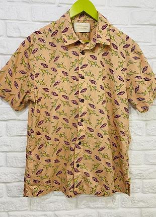 Сорочка scoth & soda