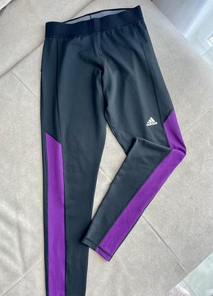 Лосини,лосіни,легінси adidas