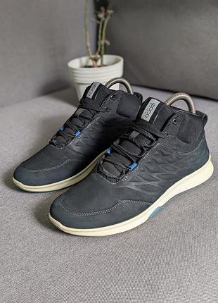 Ecco оригинальные женские кроссовки