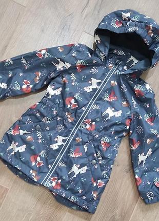 Вітровка на флісі