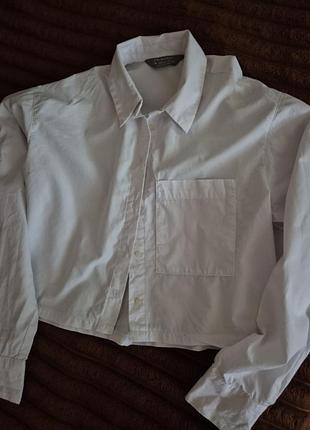 Жіноча біла рубашка в розмірі м