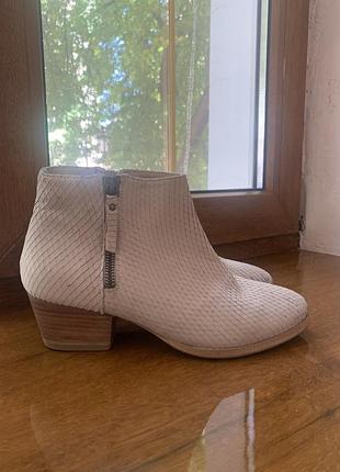 Черевики minelli