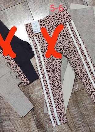 Лосіни, 4-5-6 років, george