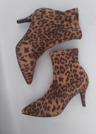 Чоботи жіночі