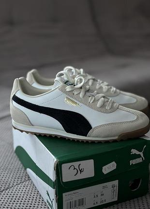 Кросівки жіночі