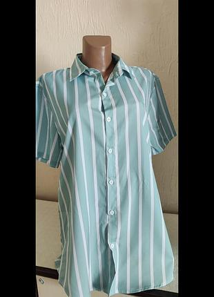 Две рубашки по цене одной