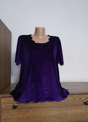 Блуза бархатна
