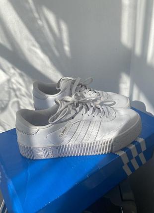 Кеди/кросівки  adidas samba