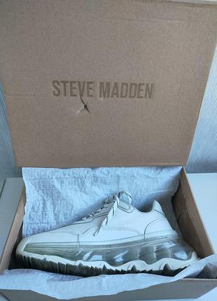 Steve madden blatant sneaker кроссовки женские