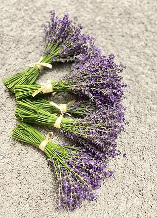 Лаванда букетики з лаванди