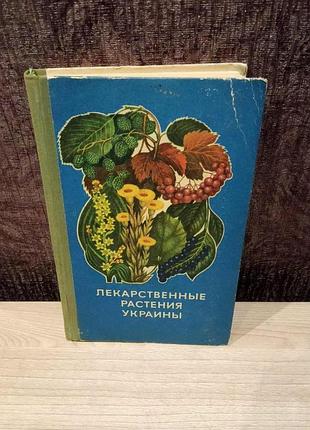 Лікарські рослини україни