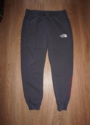 Спортивні штани the north face оригінал