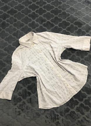 Candy-блуза-сорочка блуза великий розмір,блуза типу жатка