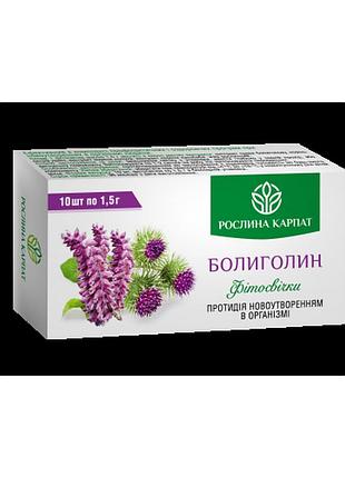 Фитосвечи болиголин рослина карпат 10 шт.