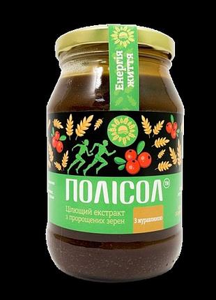 Полисол с клюквой (экстракт из пророщенных зёрен) 550 г