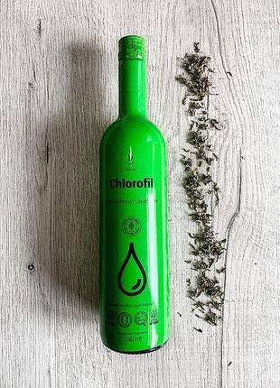 Duolife chlorofil, дуолайф хлорофіл - ефективна очистка організму, крові та судин