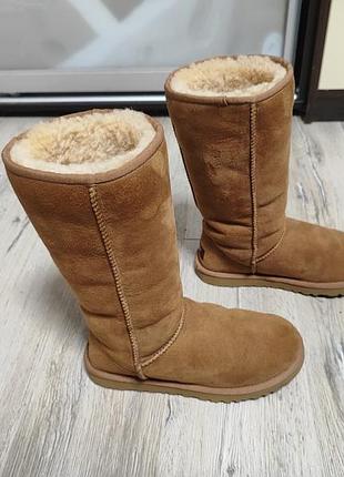 Чобітки ugg