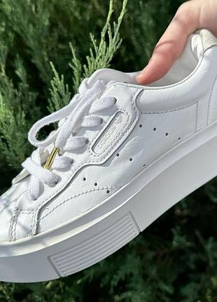 Кросівки жіночі adidas originals sleek super (ef8858)