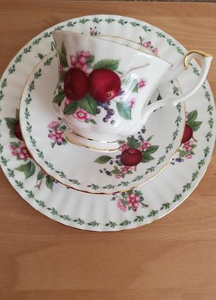 Трио фарфоровое для чая "фрукты" royal albert англия