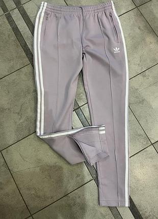 Спортивні штани