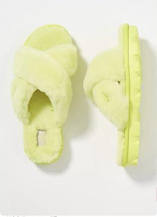 Шльопки хутро ugg оригінал