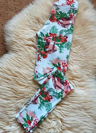 Лосины pronto италия лосины с тропическим принтом