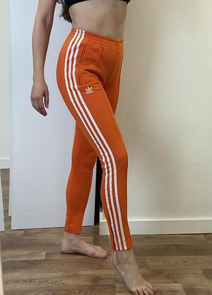 Помаранчеві спортивні штани adidas оранжеві