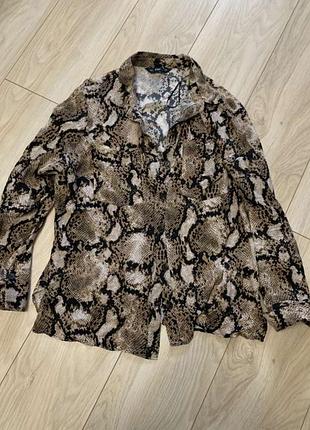 Сорочка f&f 👚 стильна красива блузка зміїний принт елегантна класика