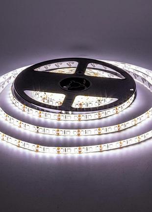 Світлодіодна стрічка біла 12 v avt smd2835 60 led/м ip20
