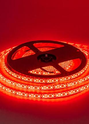 Світлодіодна стрічка червона 12 v smd2835 120 led/м ip20