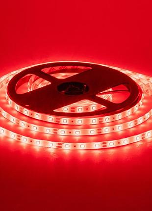 Світлодіодна стрічка червона 12 v smd2835 60 led/м ip20