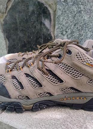 Осенние оригинальные кроссовки merrell вьетнам
