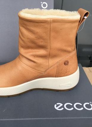 Сапоги женские зимние   ecco ukiuk 2.0  801633 013102 фото