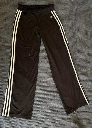 Лосіни adidas