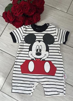 Пісочник з mickey mouse