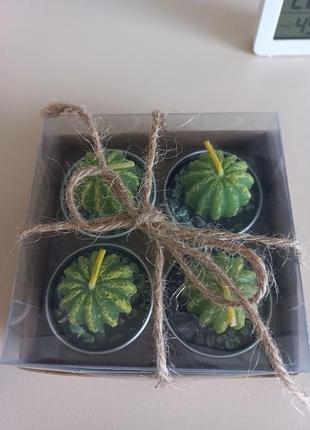 Свечки набор кактусы новый