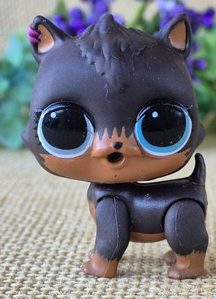 Lol лол питомцы fuzzy pets eye spy amazing surprise uptown l.o.l. собака подряпини scratches з art club