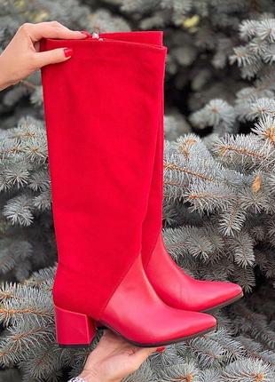 Чоботи демі зима