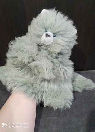 Кіт, котик пухнастий сірий, кошеня, купольний театр на руку, wasi, germany