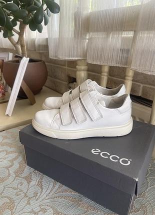 Шкіряні кеди ecco 2