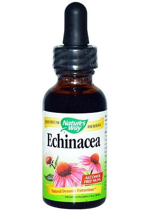 Ехінацея без спирту (echinacea), nature's way, 30 мл.