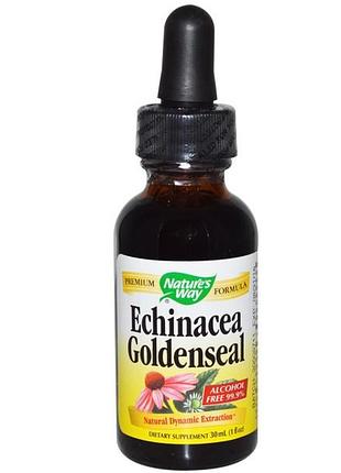 Ехінацея і желтокорень, настоянка без спирту, nature's way, echinacea goldenseal, 30 мл