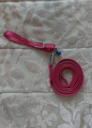 Поводок с ошейником фирмы collar