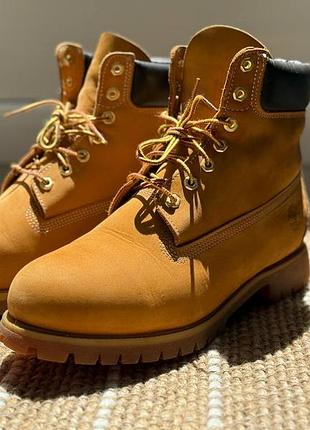 Черевики чоловічі timberland wheat 6
