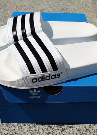 Мужские шлепанцы тапочки adidas white из эко кожиwhite_o938