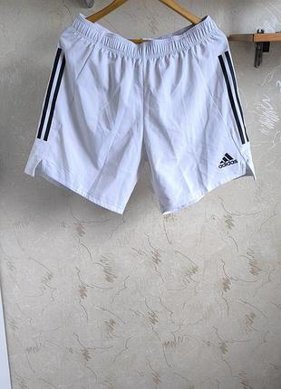 Спортивні шорти adidas