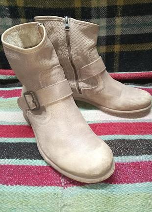 Черевики шкіряні lazamani на блискавці голландія