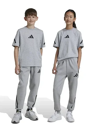 Adidas z.n.e. sportswear унисекс спортивные штаны серого цвета