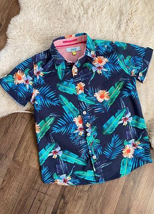 Гавайка, теніска, сорочка, рубашка ted baker, 6 7 років